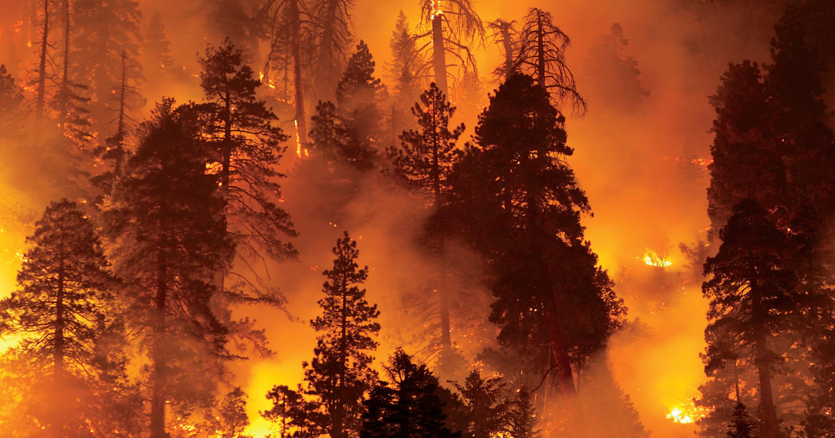 Spine Surgery and Climate Change !